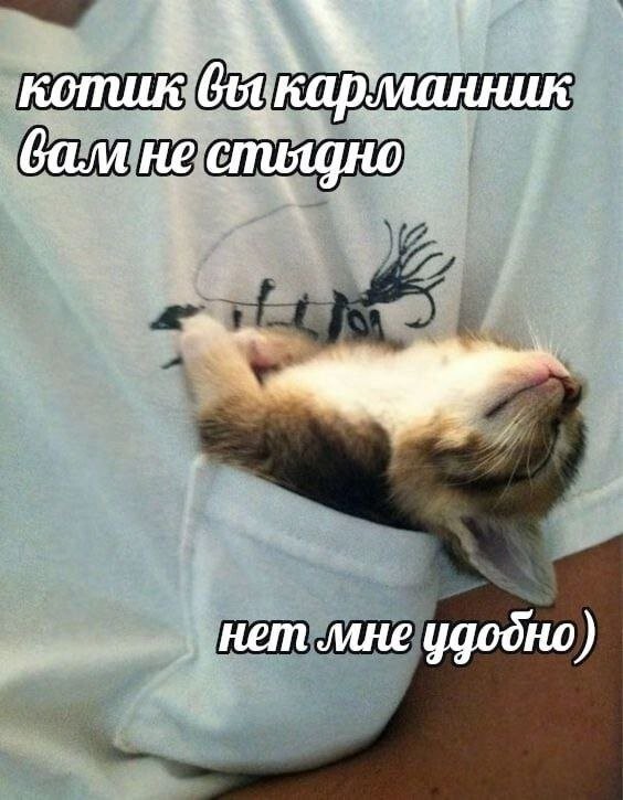 Скрины из соцсетей