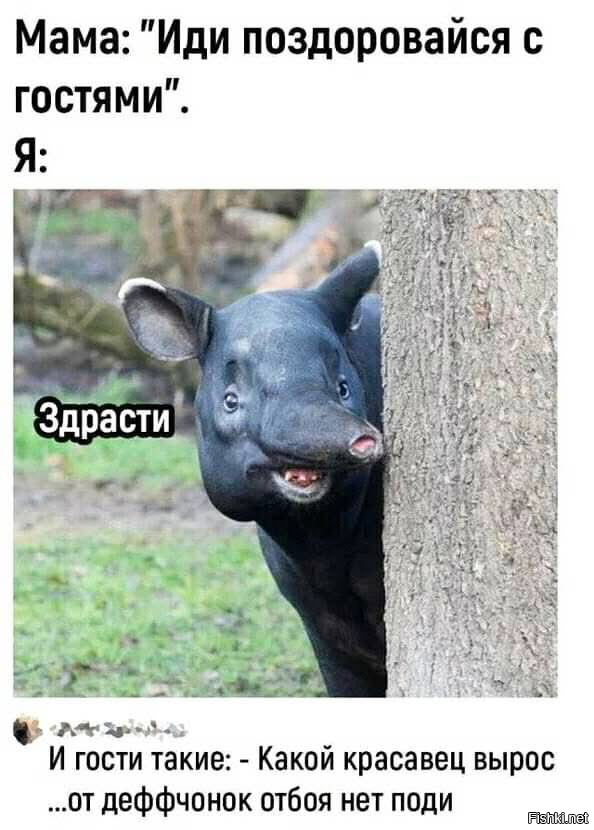 Солянка от 05.06.2025