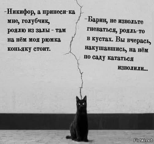 Солянка от 05.06.2025