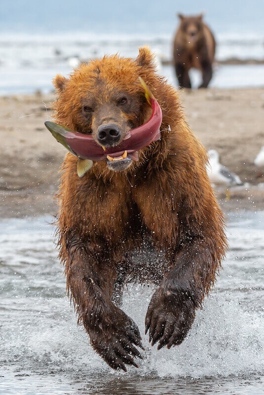 ПутИна