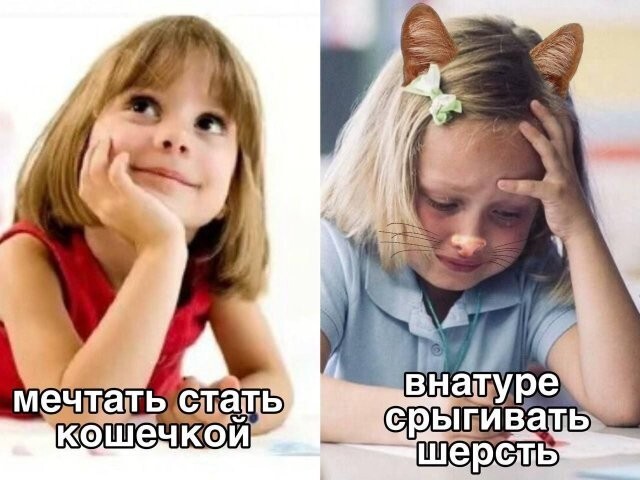 Скрины из соцсетей 