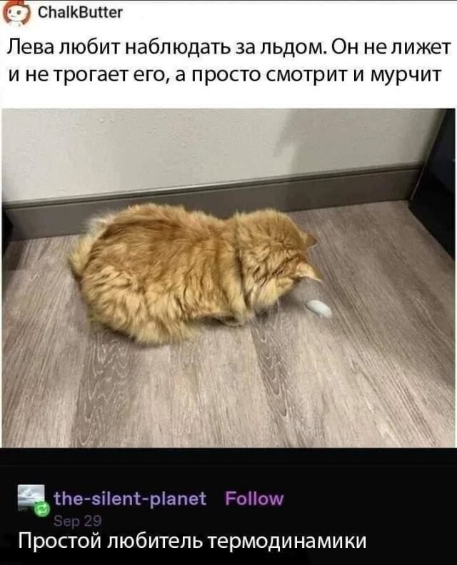 Скрины из соцсетей 