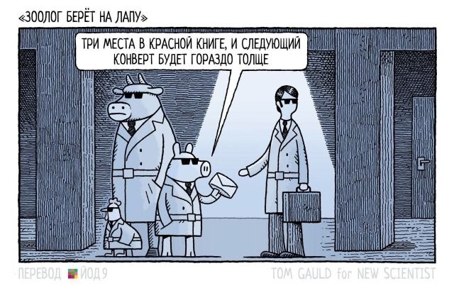 Скрины из соцсетей 