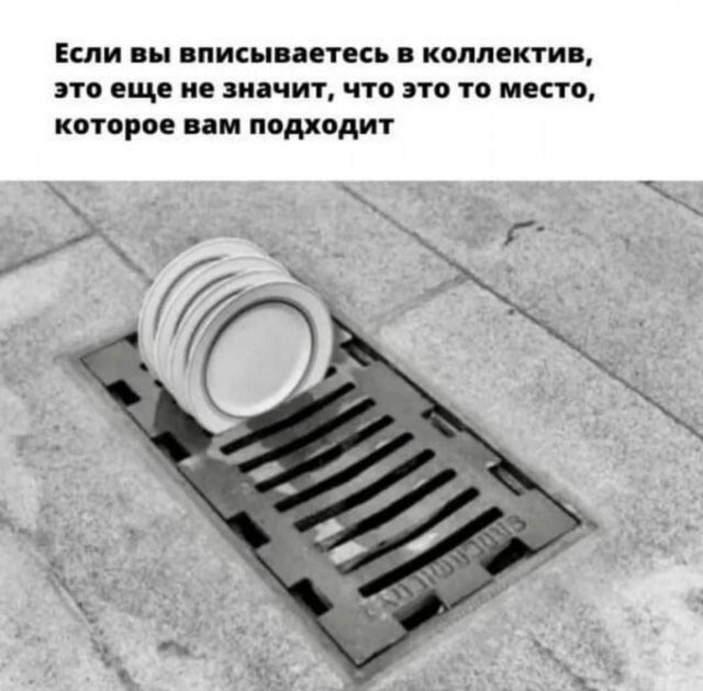 Скрины из соцсетей 