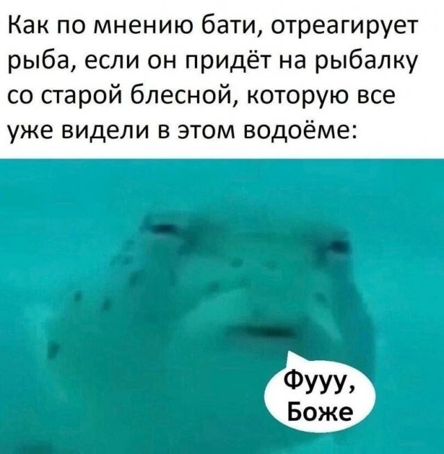Скрины из соцсетей 