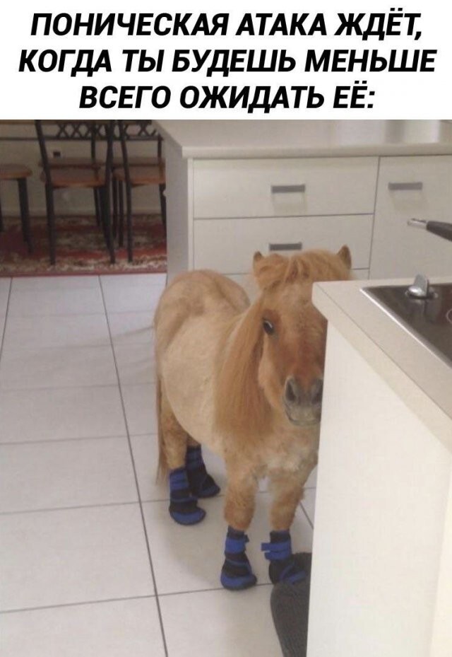 Скрины из соцсетей 