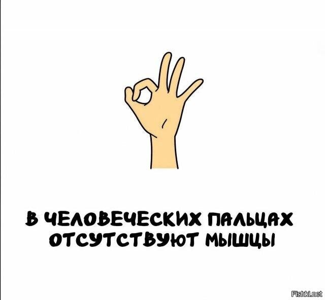 Солянка от 06.06.2025