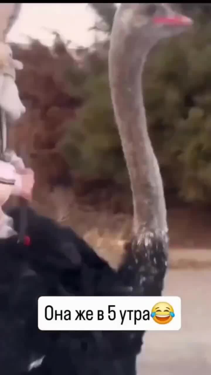 Каждый из нас завтрашним утром 