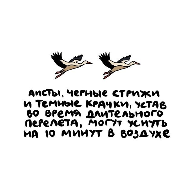 А вдруг ты не знал…