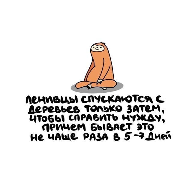 А вдруг ты не знал…