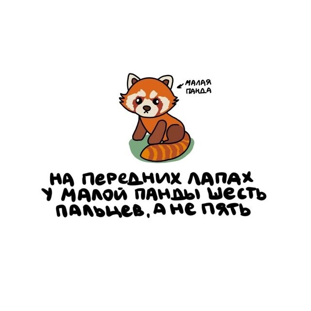 А вдруг ты не знал…