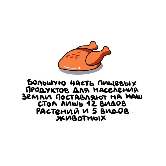 А вдруг ты не знал…