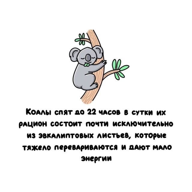 А вдруг ты не знал…