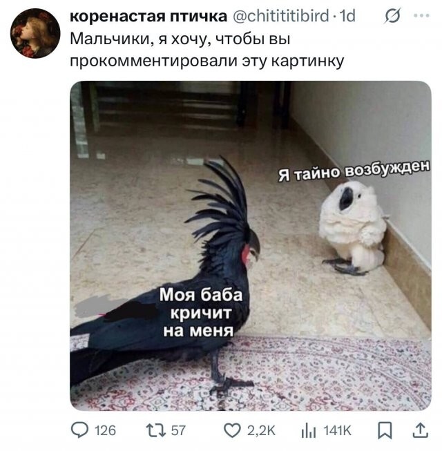Не ищите здесь смысл. Здесь в основном маразм