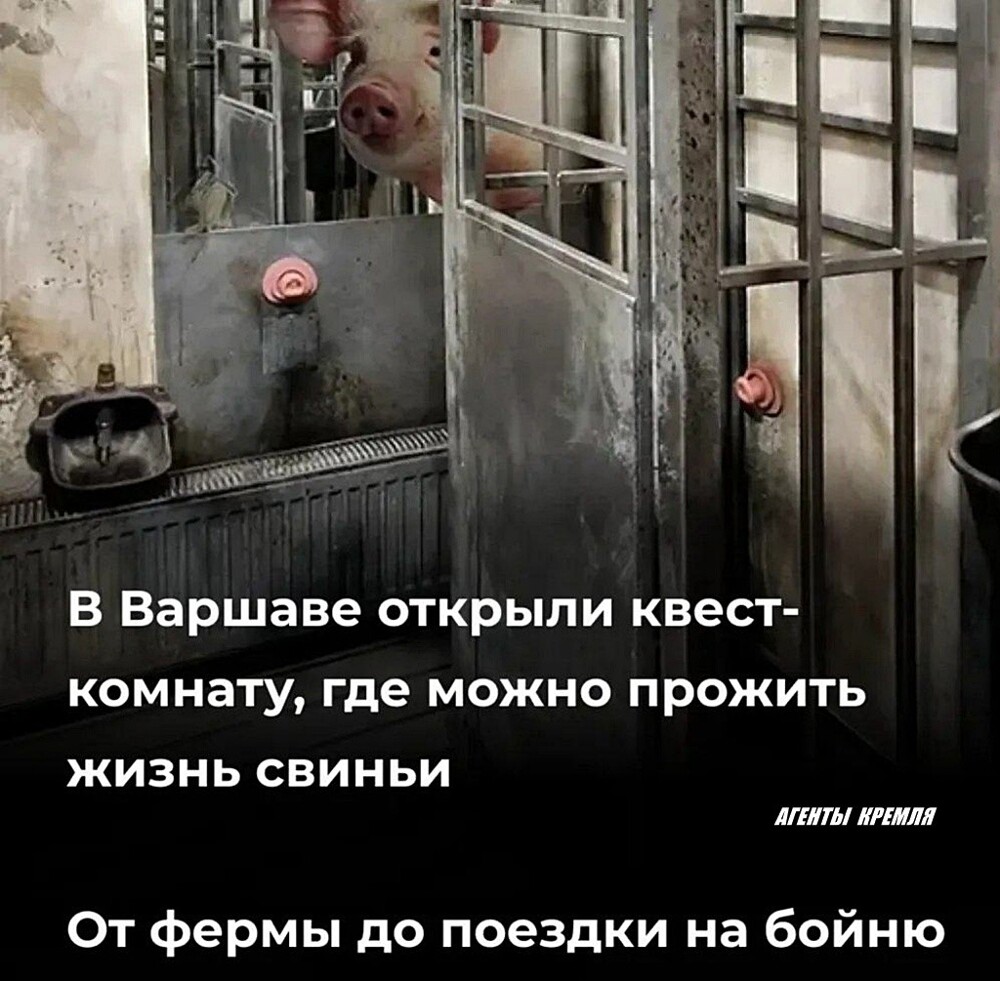 Политические картинки - 3304 Политические картинки - 3304