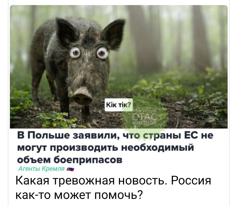 Политические картинки - 3304 Политические картинки - 3304