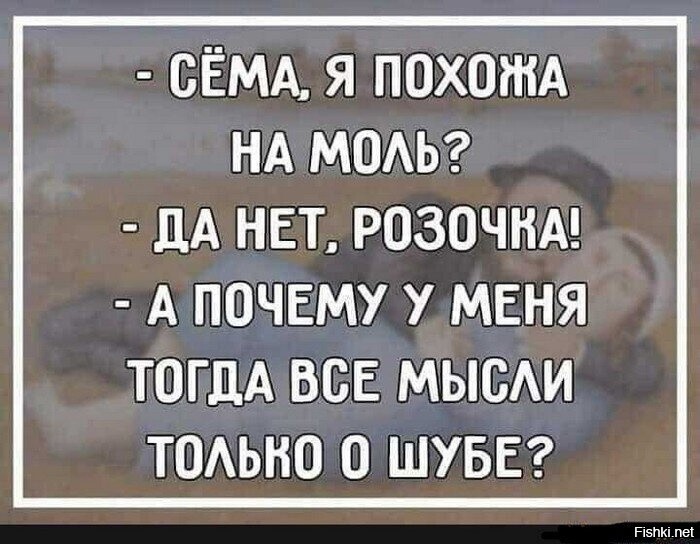 Солянка от 06.06.2025
