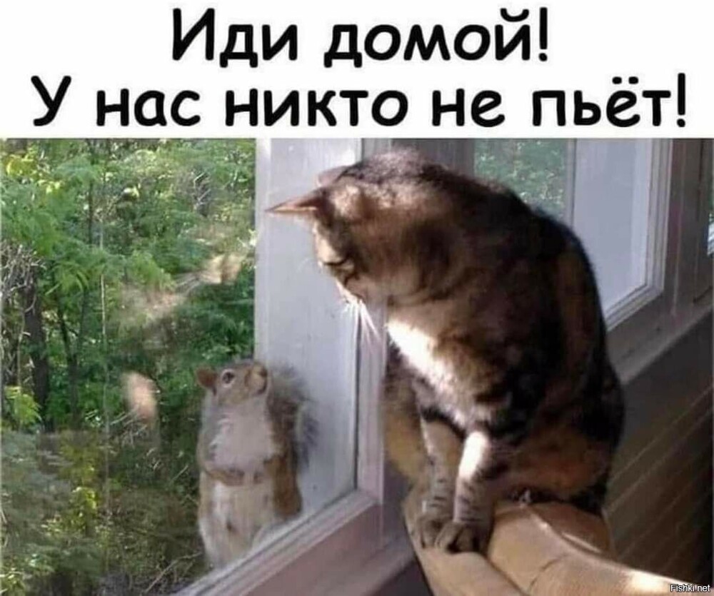 Шутка