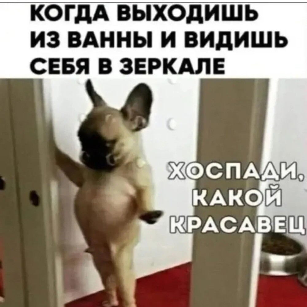 Большая тарелка улыбатора