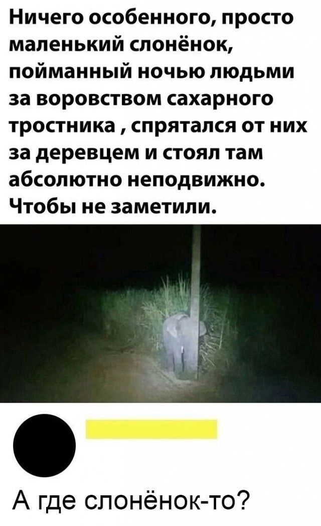 Большая тарелка улыбатора
