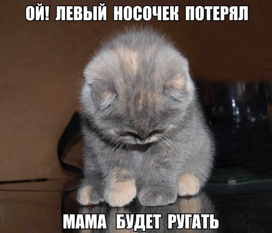 Большая тарелка улыбатора