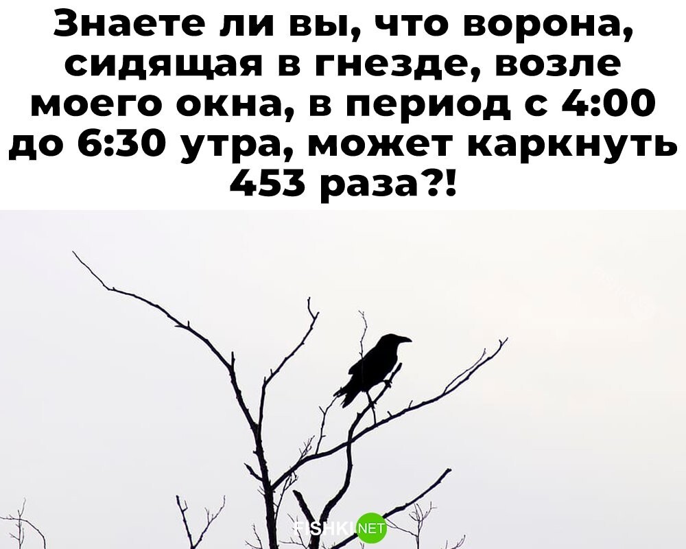 Большая тарелка улыбатора