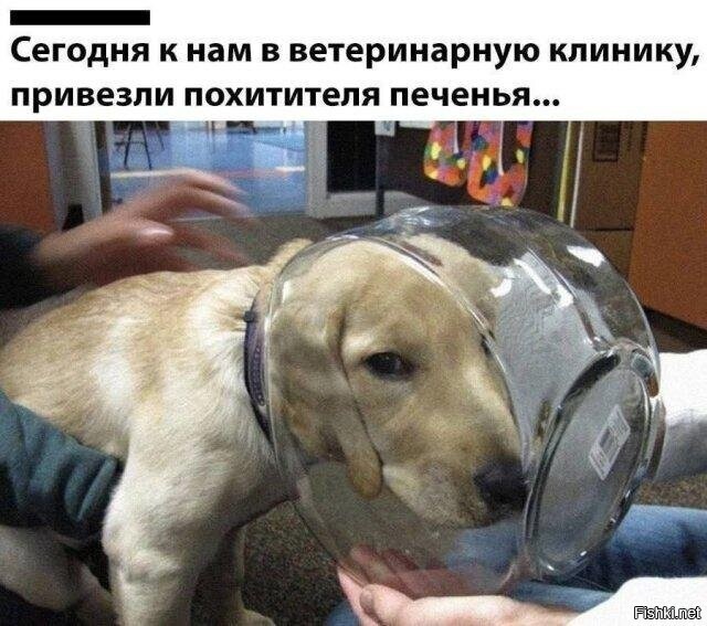 Солянка от 07.06.2025