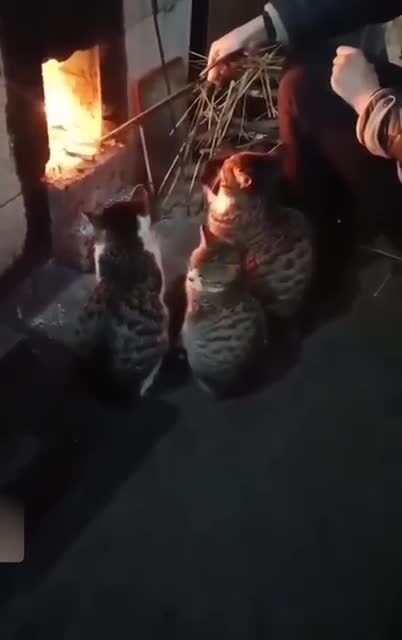 Прохладно 