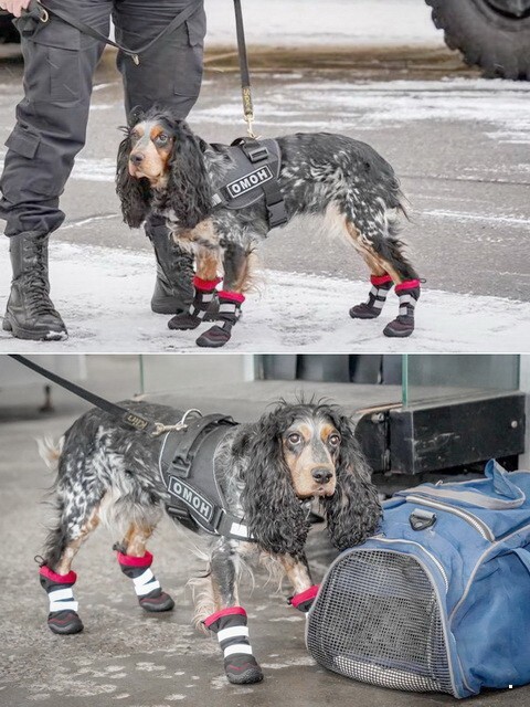 ФотоВсячина