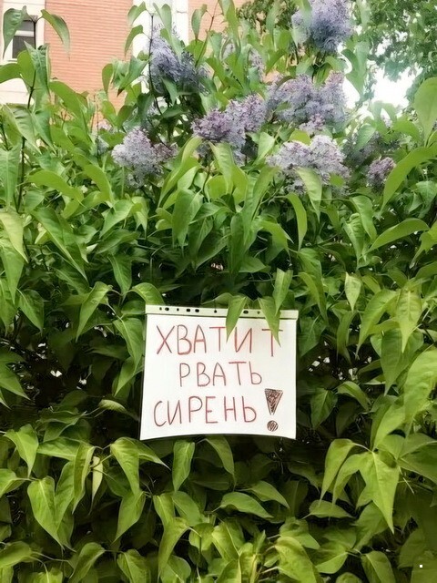 ФотоВсячина