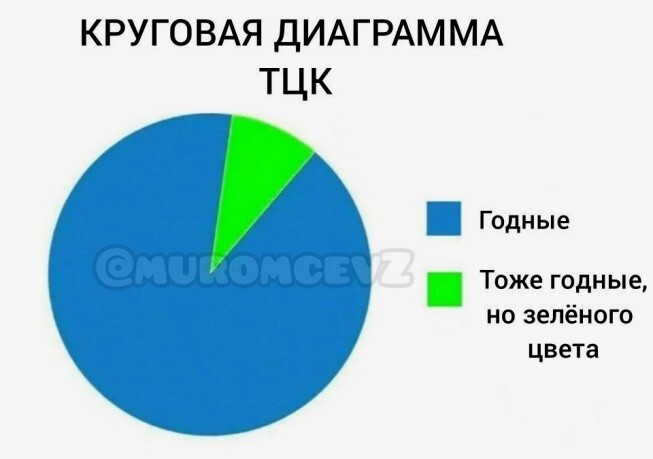 С сегодняшнего дня на Украине начинается сезон охоты на украинцев со статусом «ограниченно пригоден». Теперь ТЦКшники будут ловить ограниченно годных, которые не прошли повторную медкомиссию