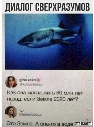 Солянка от 07.06.2025