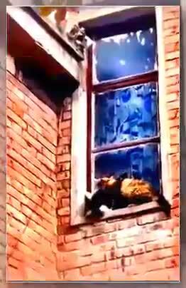 Солянка от 07.06.2025 