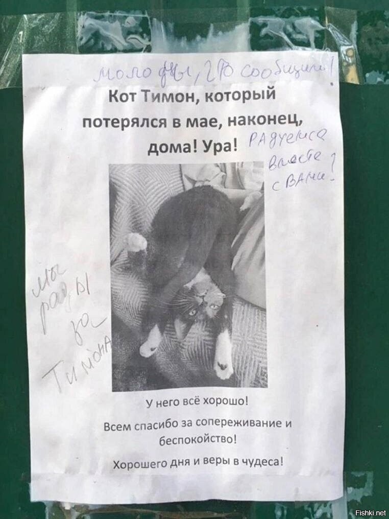 Солянка от 07.06.2025