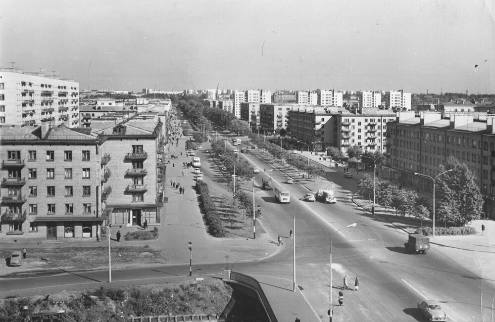 Район Чёрной Речки. Таким в те годы был проспект Смирнова (ныне - Ланское шоссе).