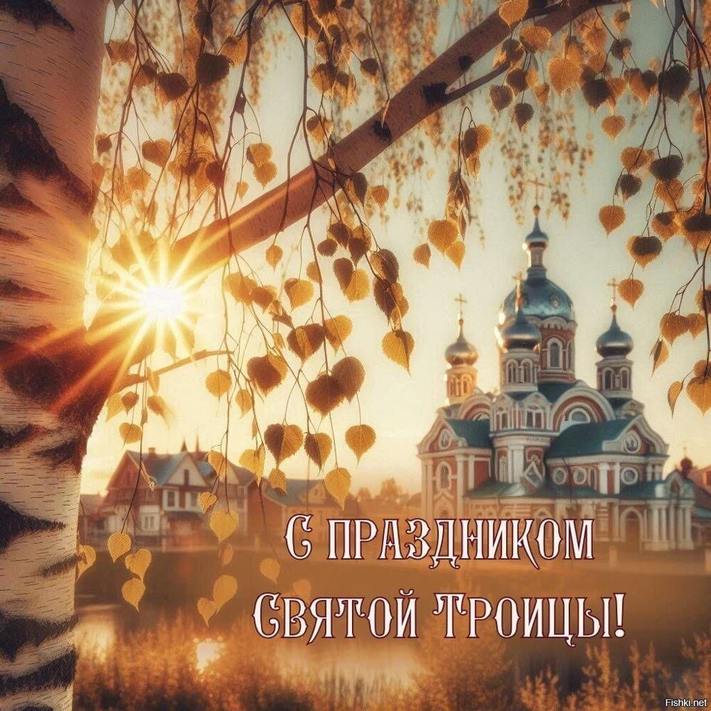 Солянка от 08.06.2025
