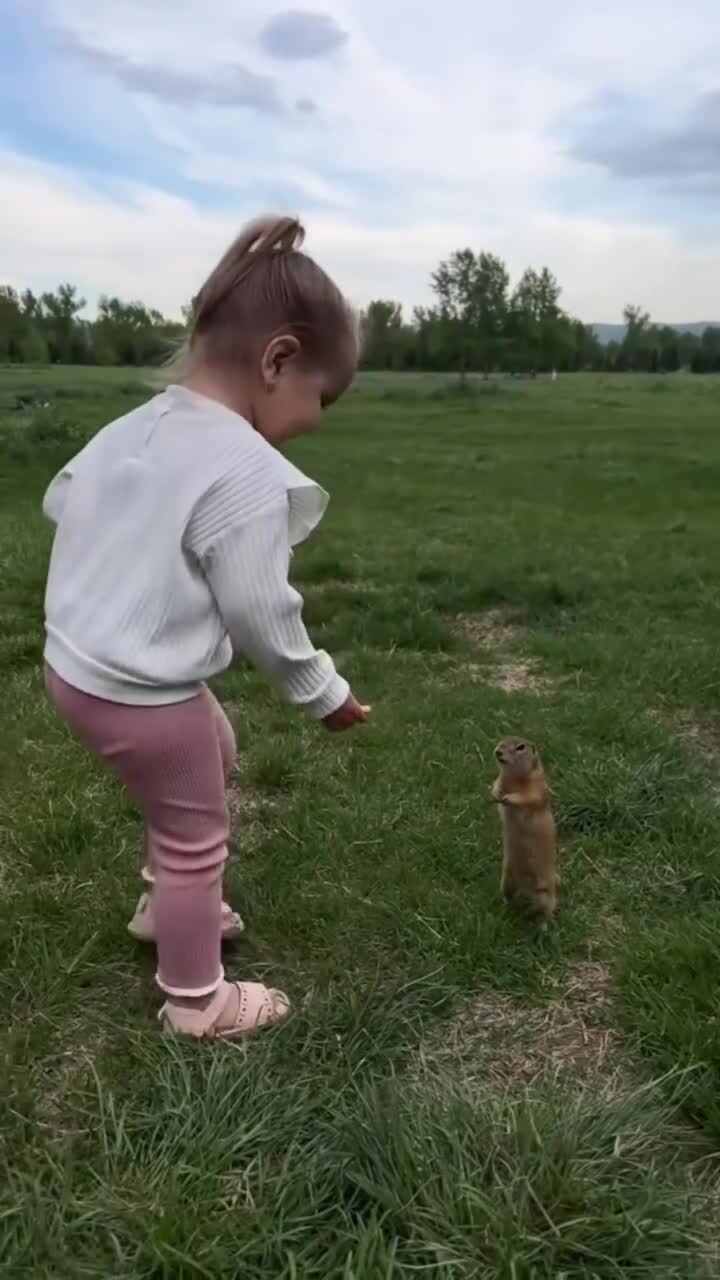 "Ручные" суслики) 