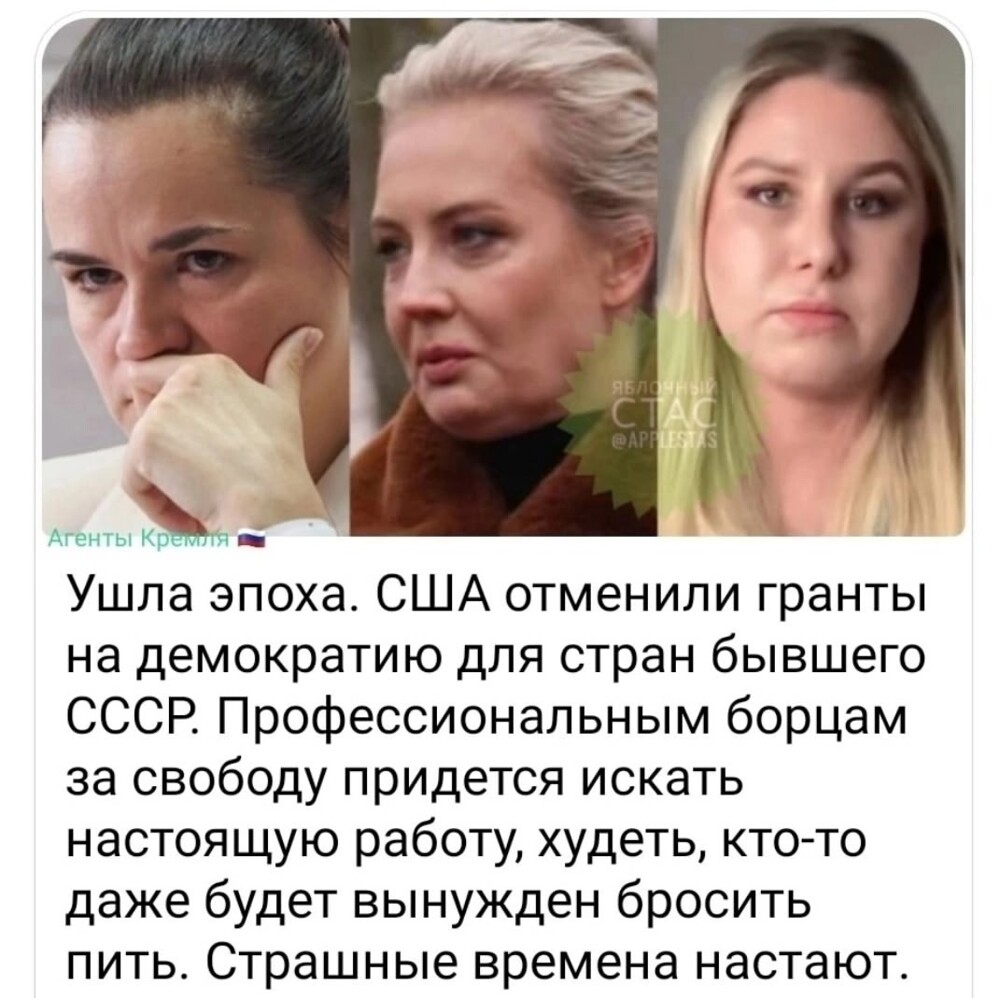 Лишь о политике