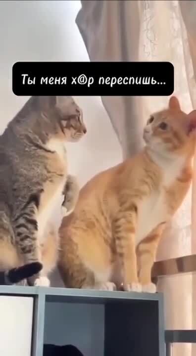 Солянка от 08.06.2025 
