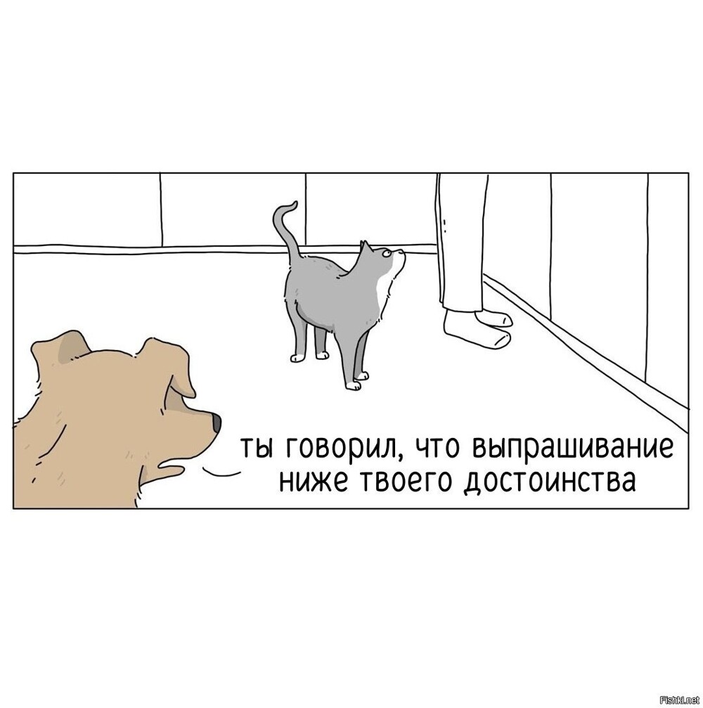 Солянка от 08.06.2025