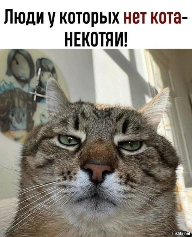 Солянка от 08.06.2025