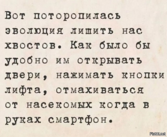 Солянка от 08.06.2025