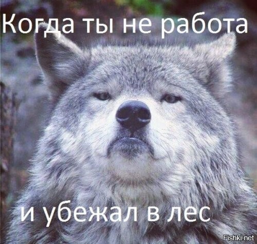 Солянка от 08.06.2025