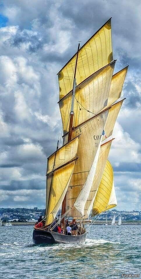 Солянка