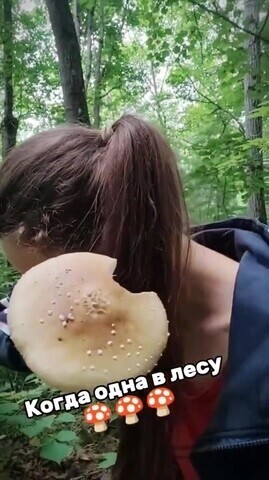 Солянка от 08.06.2025 