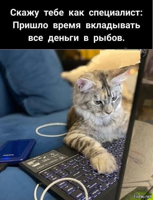 Солянка от 08.06.2025