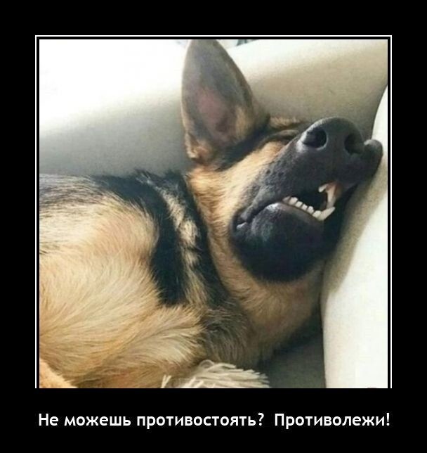 Не можешь противостоять?.