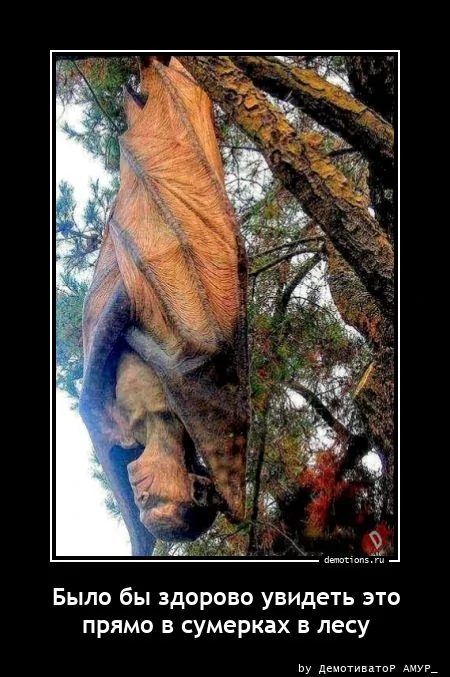 11441749425528-bylo-by-zdorovo-uvid-demo