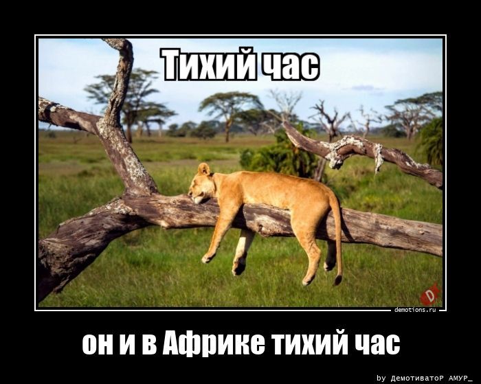 он и в Африке тихий час