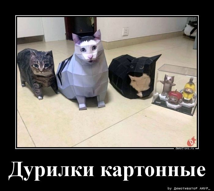 Дурилки картонные